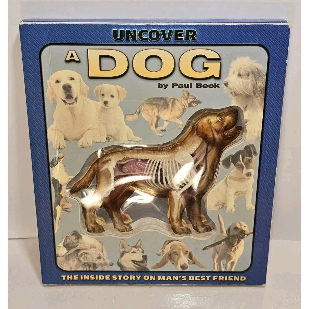 Uncover a Dog 3D Anatomy Book by Paul Beck EUC Educational‎ 🐶📘